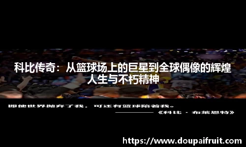 雷火电竞官方网站入口